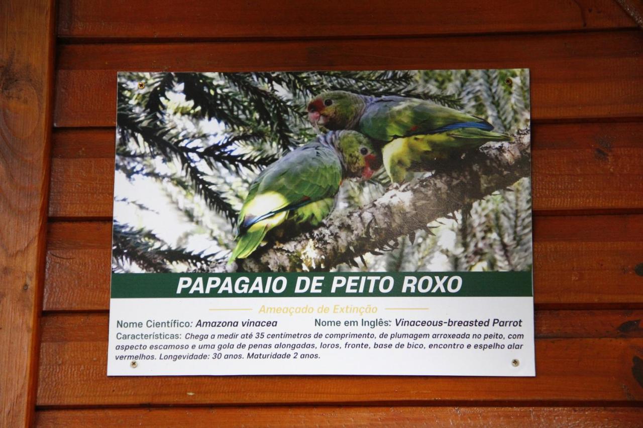 Recanto Da Mata Pousada São Francisco de Paula Екстериор снимка