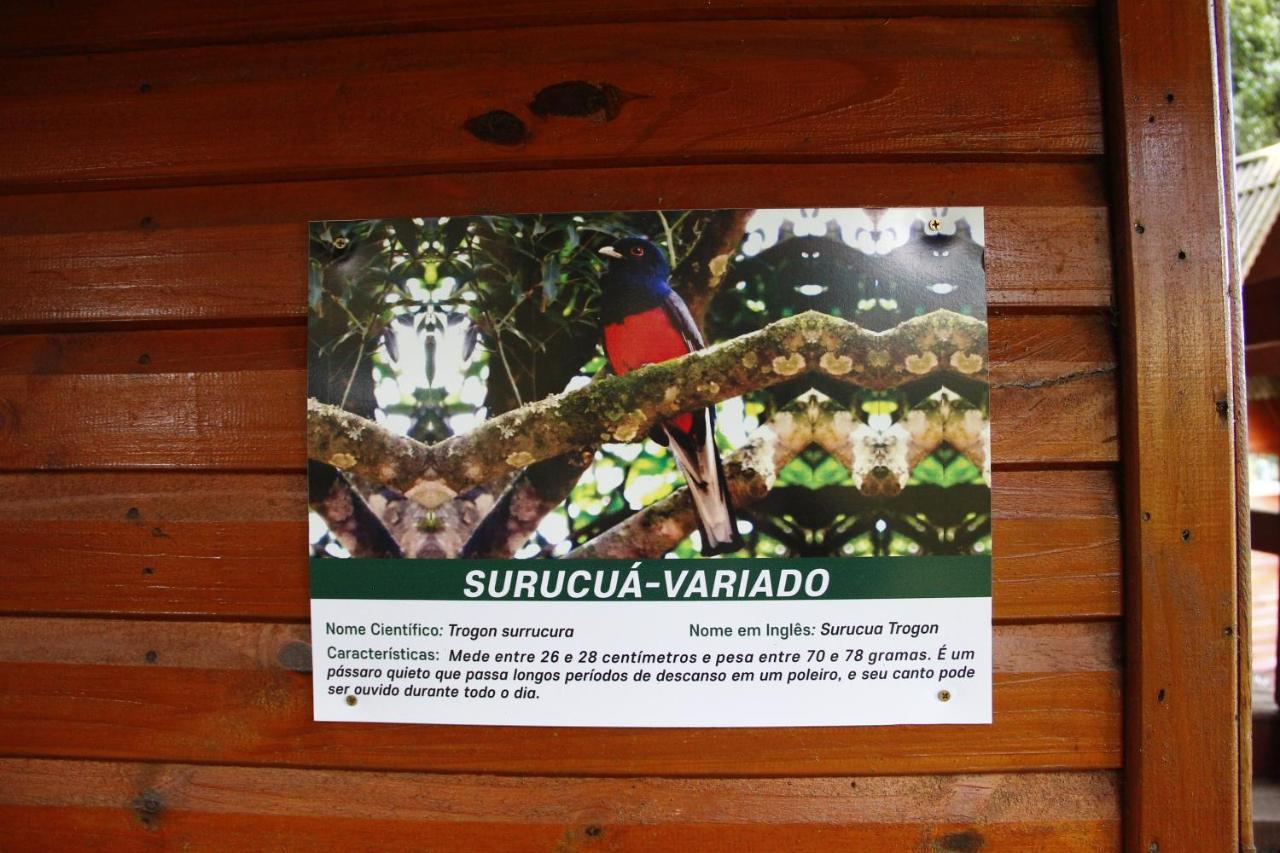 Recanto Da Mata Pousada São Francisco de Paula Екстериор снимка