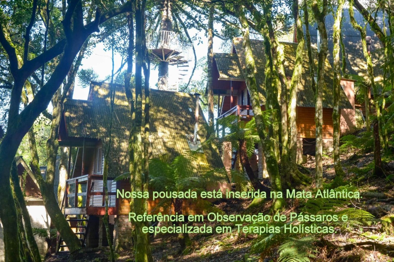 Recanto Da Mata Pousada São Francisco de Paula Екстериор снимка